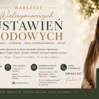 Warsztat Ustawień Systemowych
